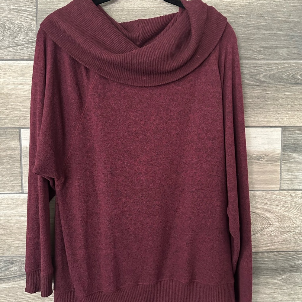 Express Maroon Cowl Neck Sweater